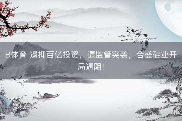 B体育 遏抑百亿投资，遭监管突袭，合盛硅业开局遇阻！