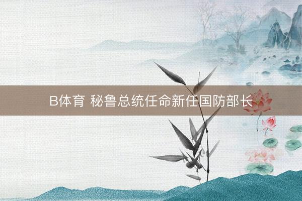 B体育 秘鲁总统任命新任国防部长